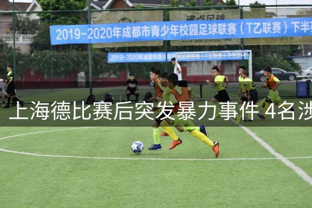 上海德比赛后突发暴力事件 4名涉事球迷被刑拘
