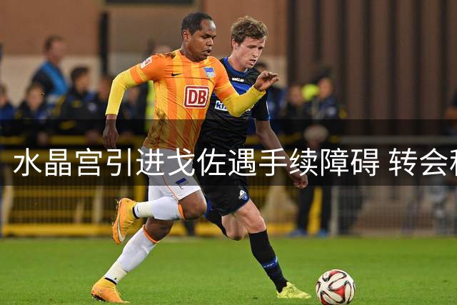 水晶宫引进戈佐遇手续障碍 转会程序暂缓仍有望成行